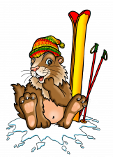 Marmotte A Ski