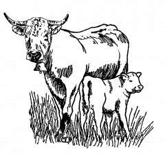 80956