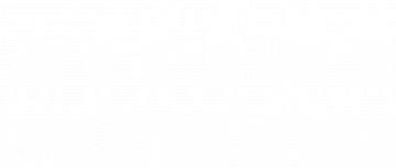 evolution of man