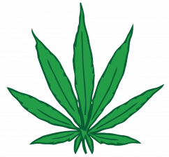 Feuille de Cannabis