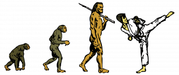 Du singe au karatéka