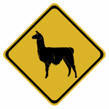 Lama