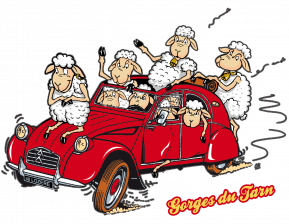 Moutons Dans Une 2 Chevaux