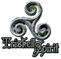 Triskell spirit poche