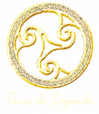 BC1026_16828A000_pocket