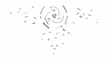 BT1008_16831A000_Dos