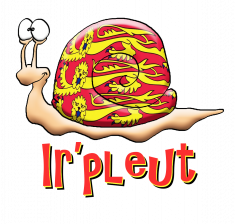 escargot normand ir pleut
